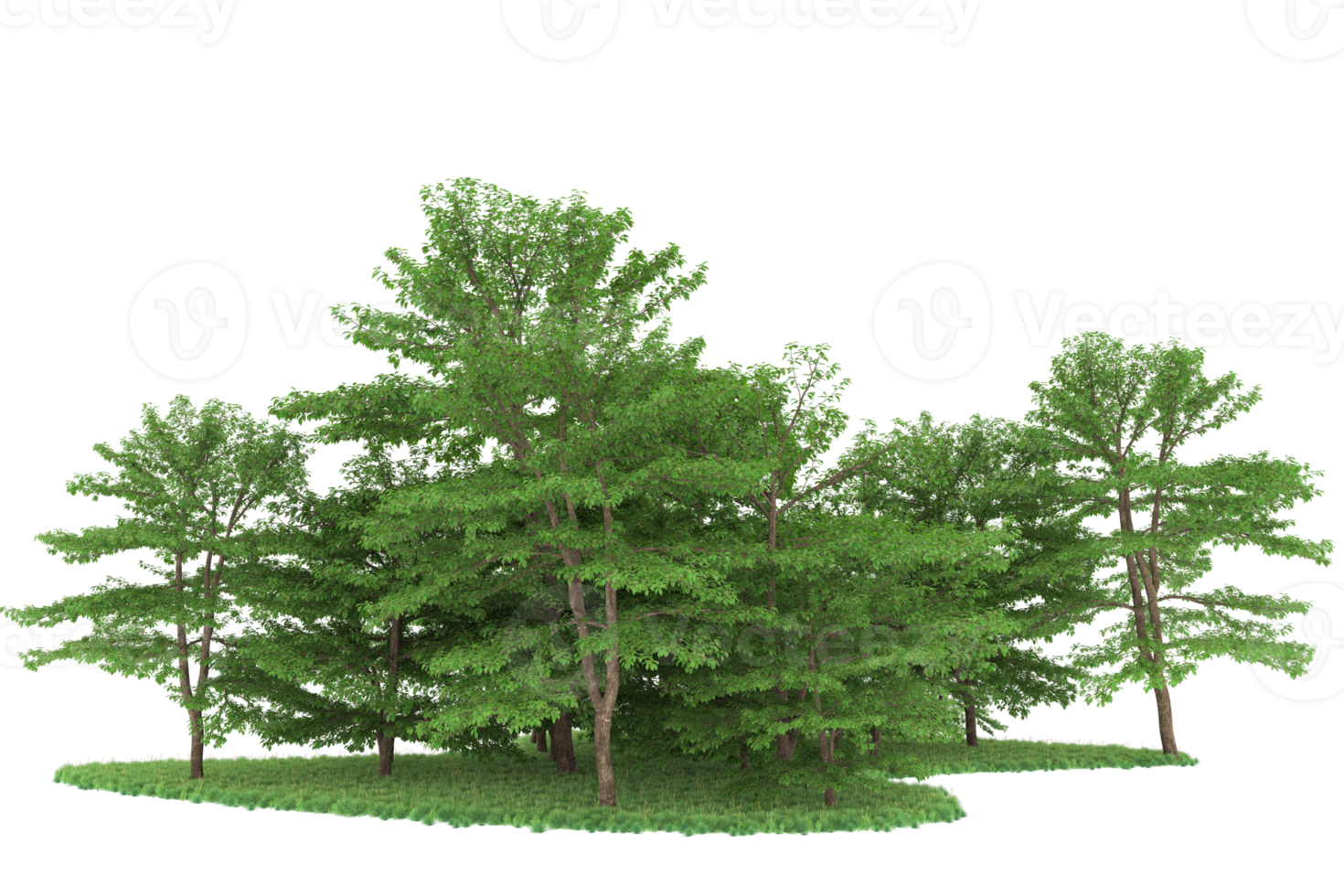 Realistic forest isolated on transparent background. 3d rendering - illustration png