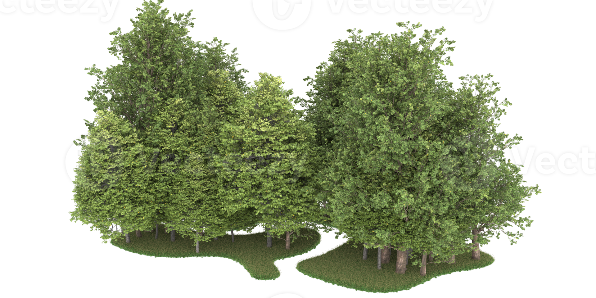 Realistic forest isolated on transparent background. 3d rendering - illustration png
