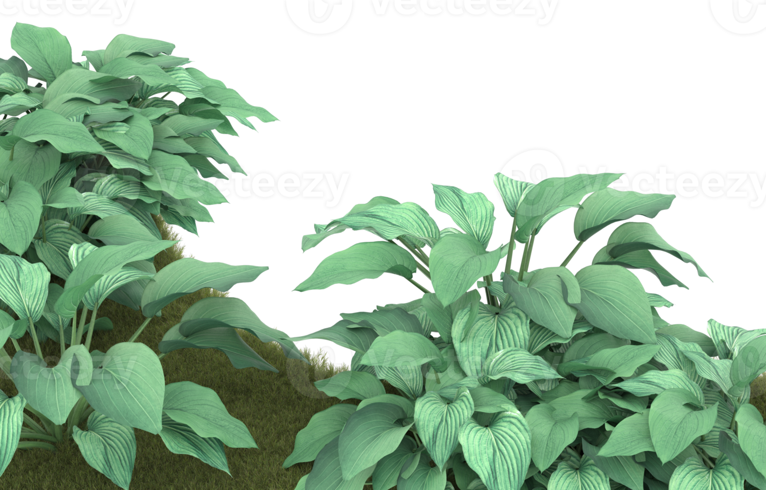 Realistic foliage isolated on transparent background. 3d rendering - illustration png