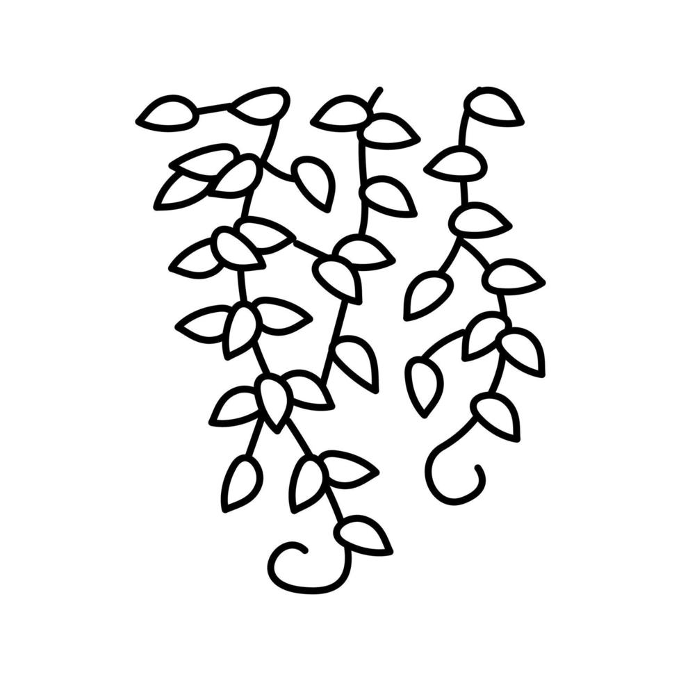 liana creciente rama línea icono vector ilustración