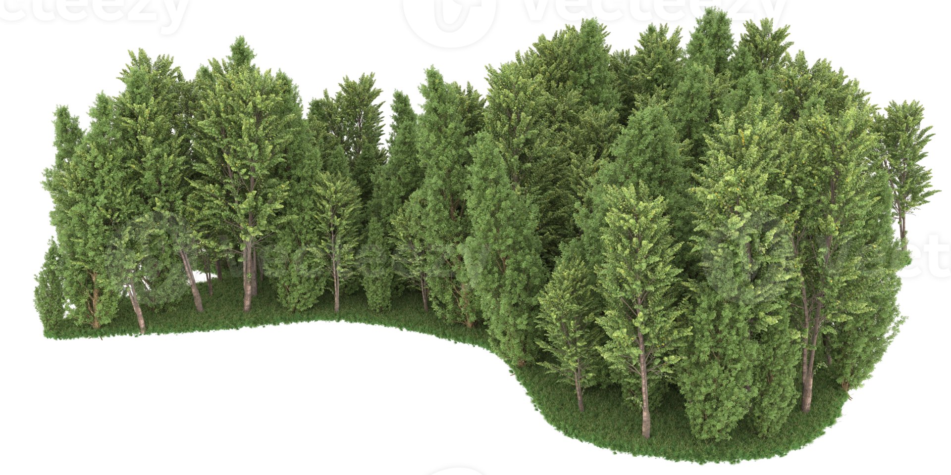 Realistic forest isolated on transparent background. 3d rendering - illustration png