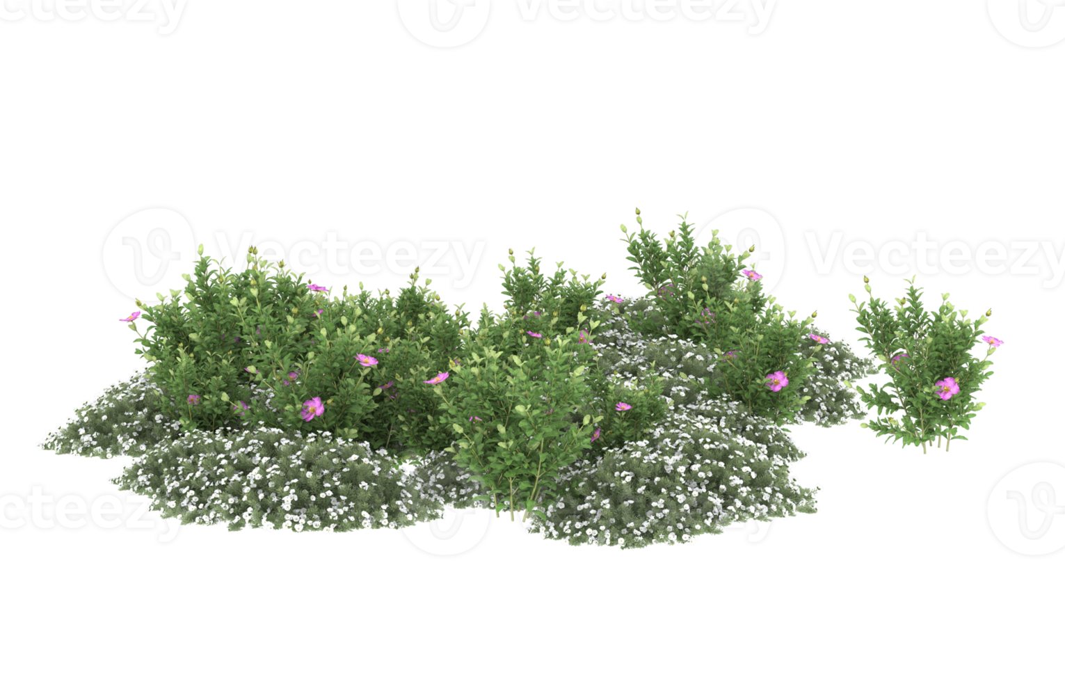 Shrubs PNGs For Free Download shrubs-pngs-for-free-download