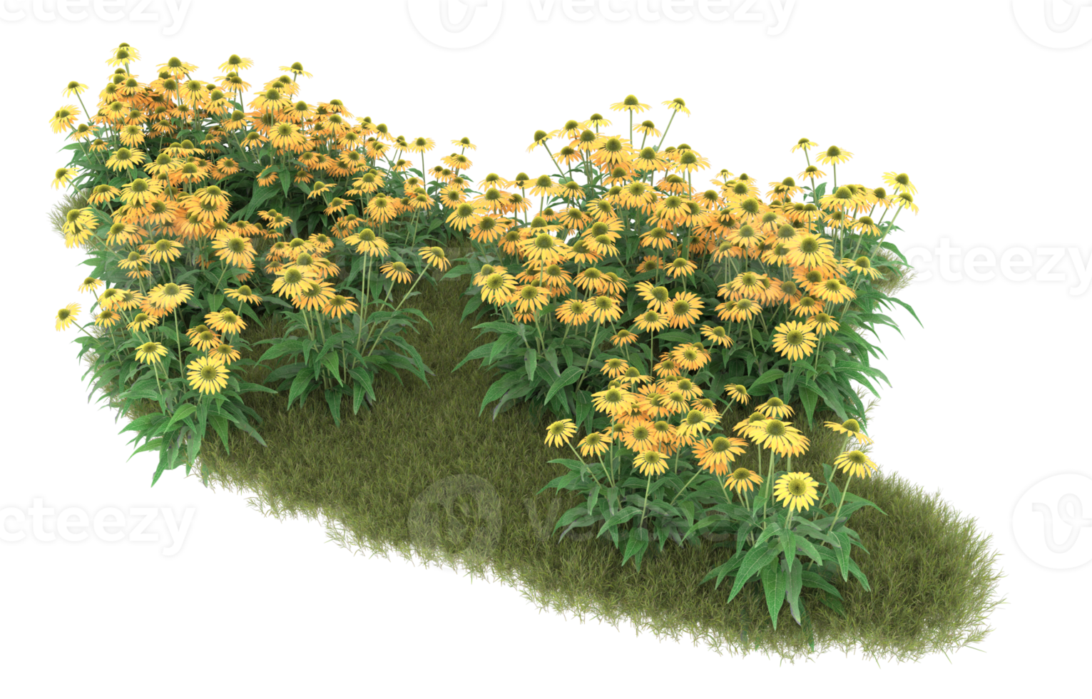 Realistic foliage isolated on transparent background. 3d rendering - illustration png