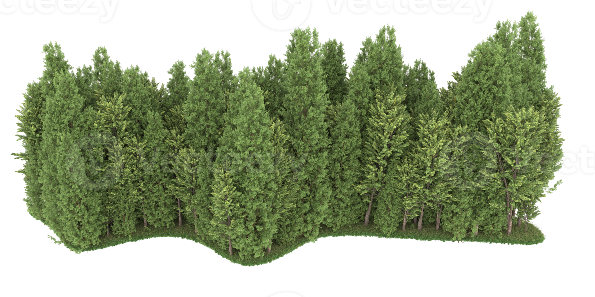 Realistic forest isolated on transparent background. 3d rendering - illustration png