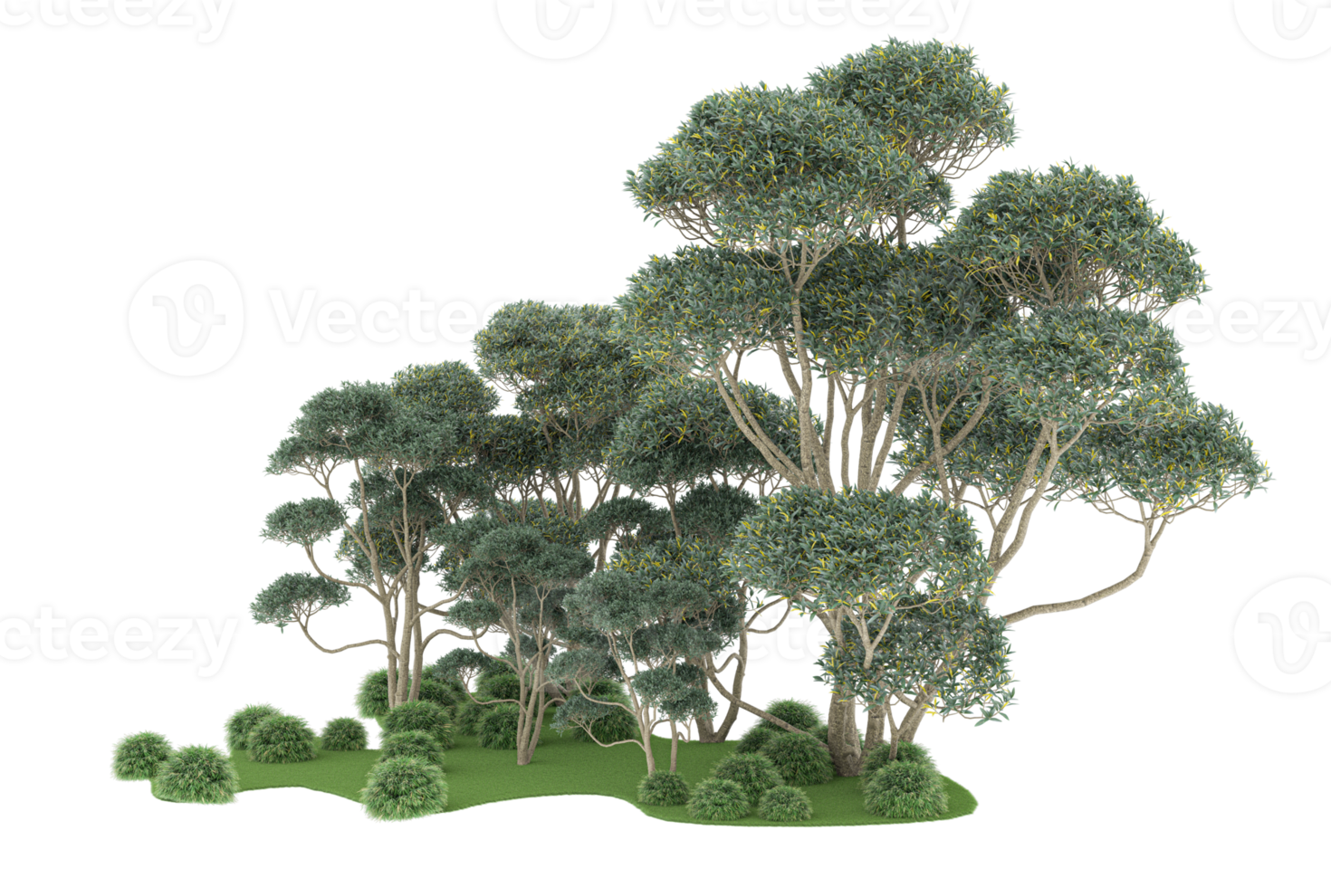 Realistic forest isolated on transparent background. 3d rendering - illustration png