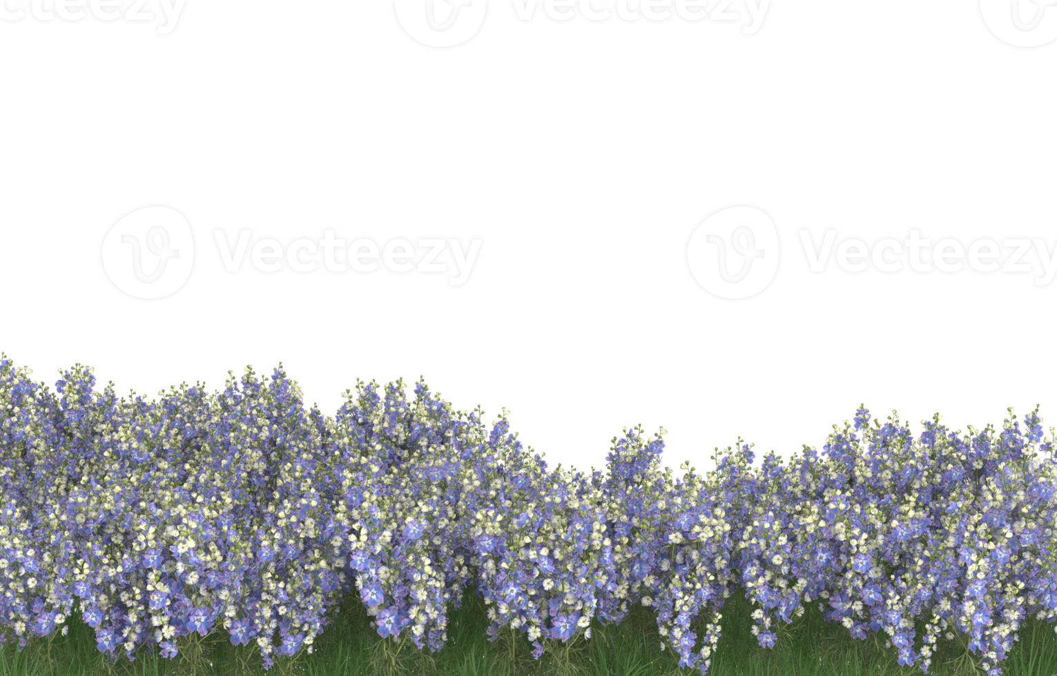 Realistic foliage isolated on transparent background. 3d rendering - illustration png
