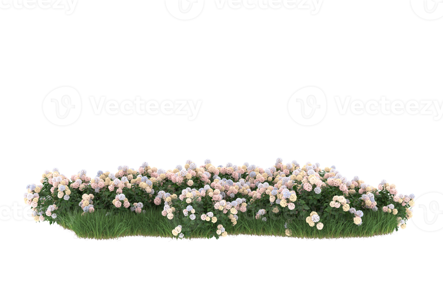 Realistic foliage isolated on transparent background. 3d rendering - illustration png