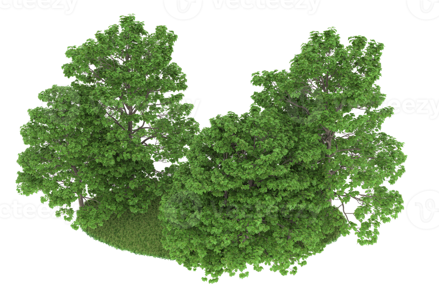 Realistic forest isolated on transparent background. 3d rendering - illustration png