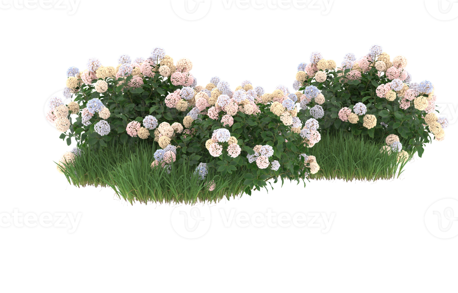 Realistic foliage isolated on transparent background. 3d rendering - illustration png