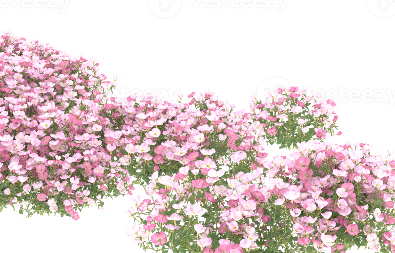 Realistic foliage isolated on transparent background. 3d rendering - illustration png