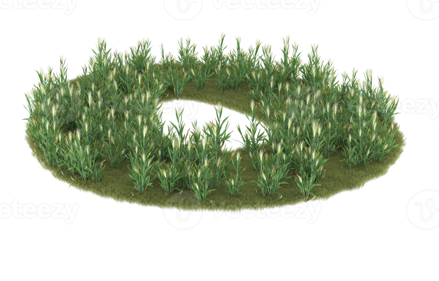 Realistic foliage isolated on transparent background. 3d rendering - illustration png