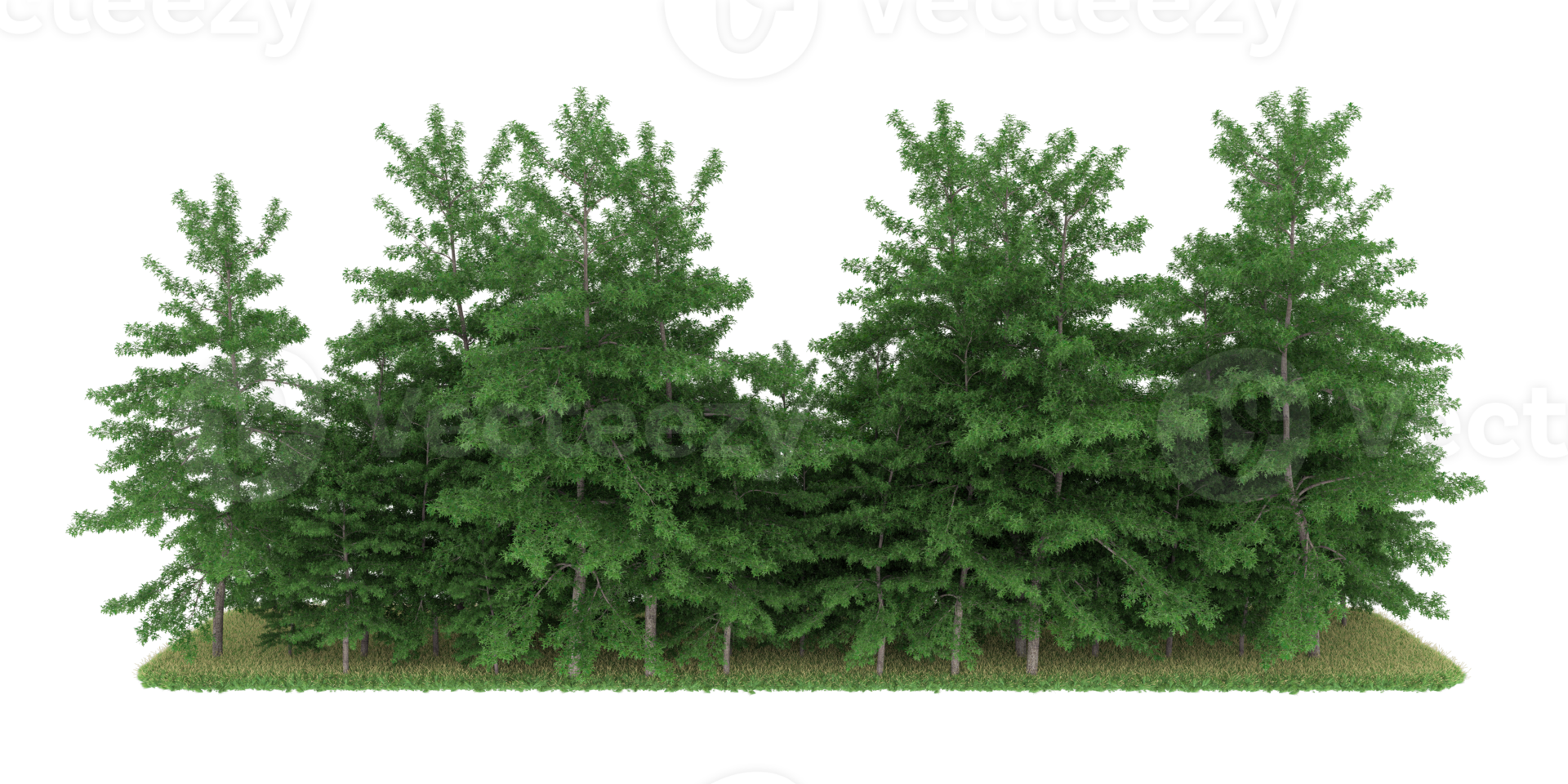 Realistic forest isolated on transparent background. 3d rendering - illustration png