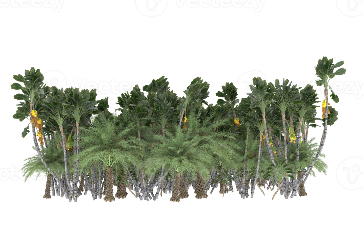 palma alberi isolato su trasparente sfondo. 3d interpretazione - illustrazione png