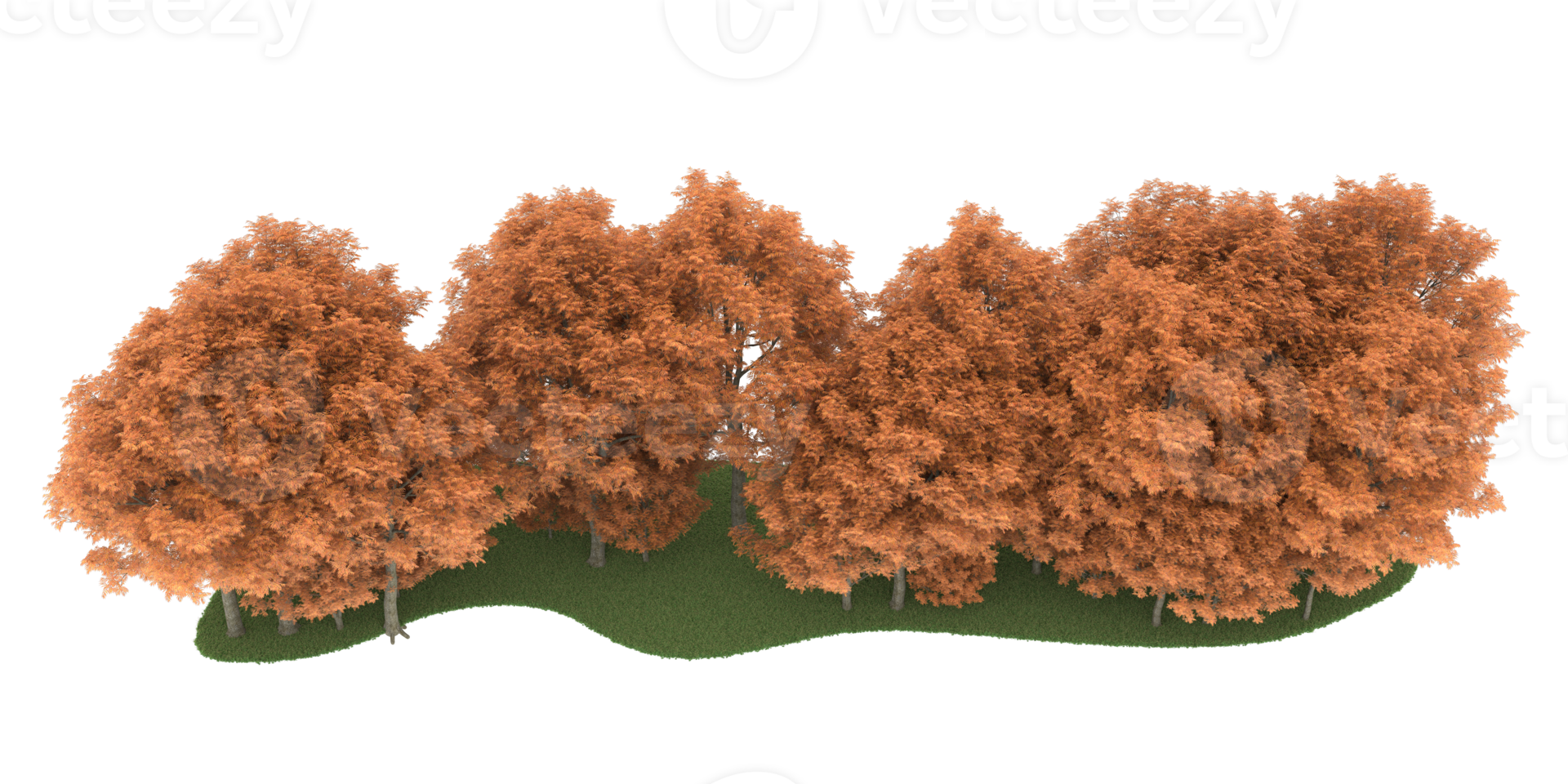 Realistic forest isolated on transparent background. 3d rendering - illustration png