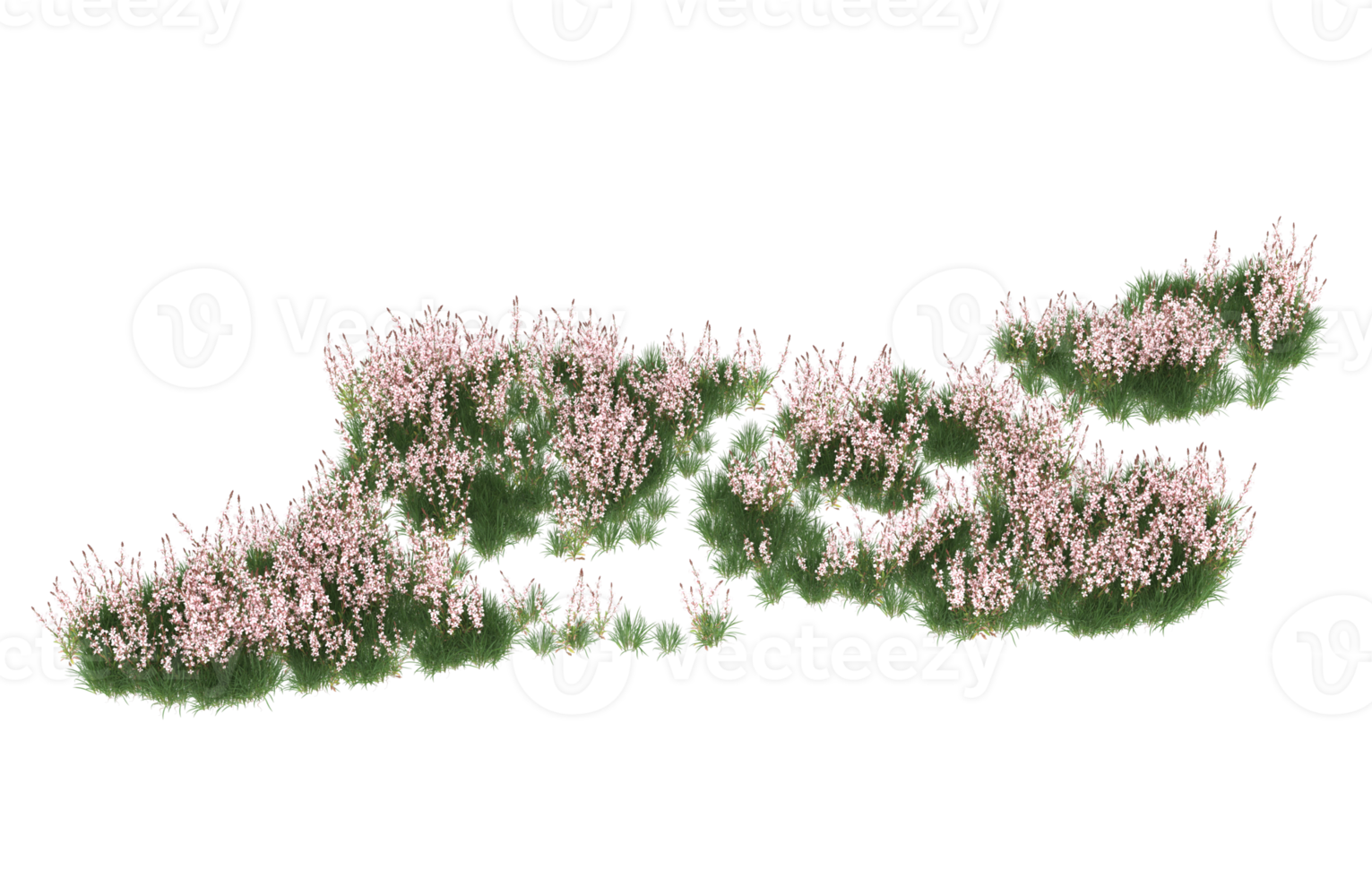 realistico fogliame isolato su trasparente sfondo. 3d interpretazione - illustrazione png