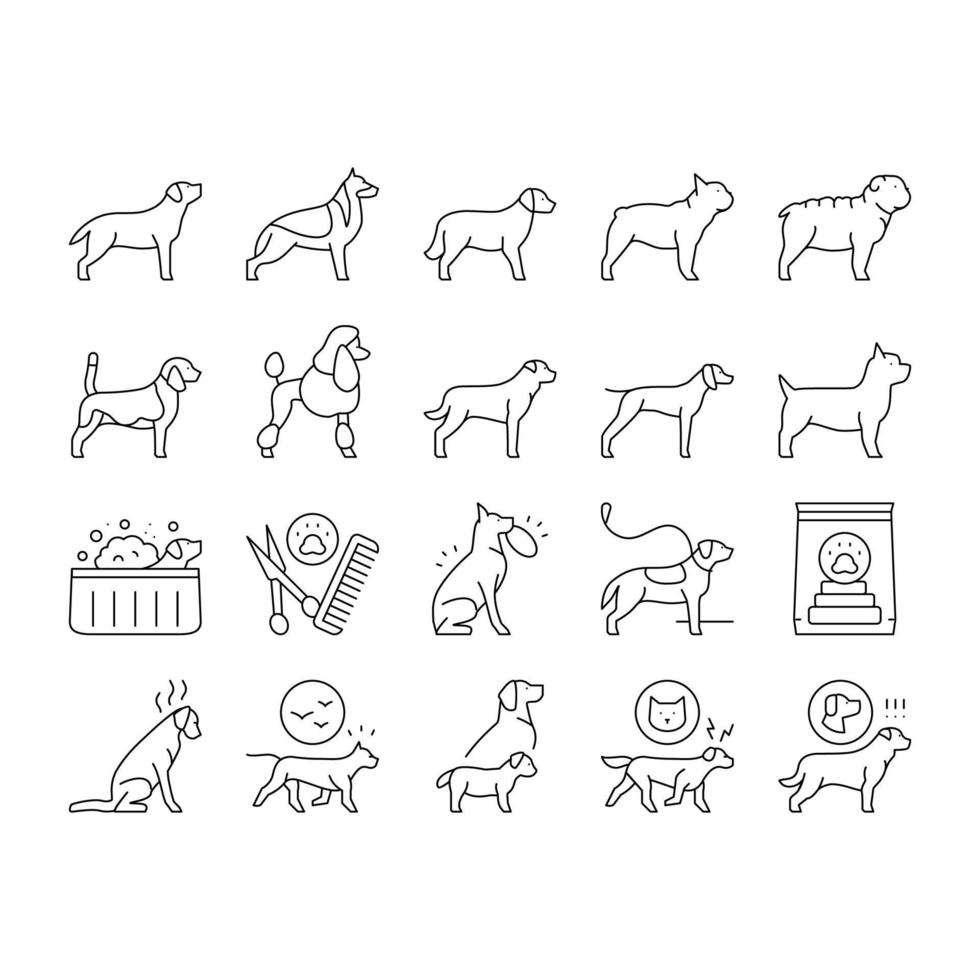 perro, animal doméstico, colección, iconos, conjunto, vector