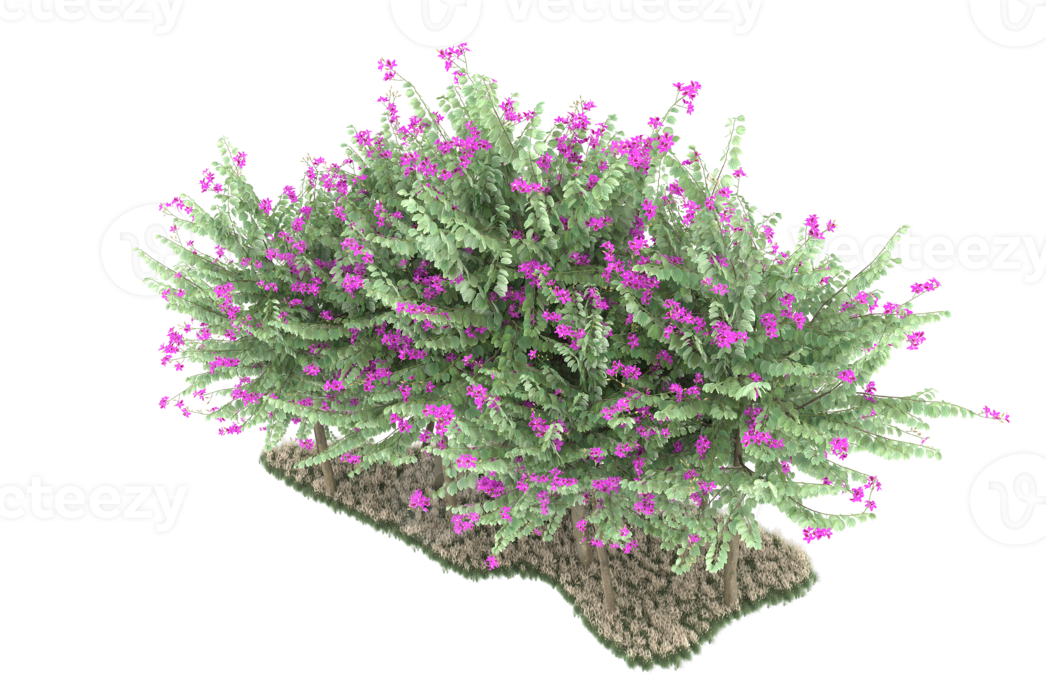 forêt réaliste isolée sur fond transparent. rendu 3d - illustration png