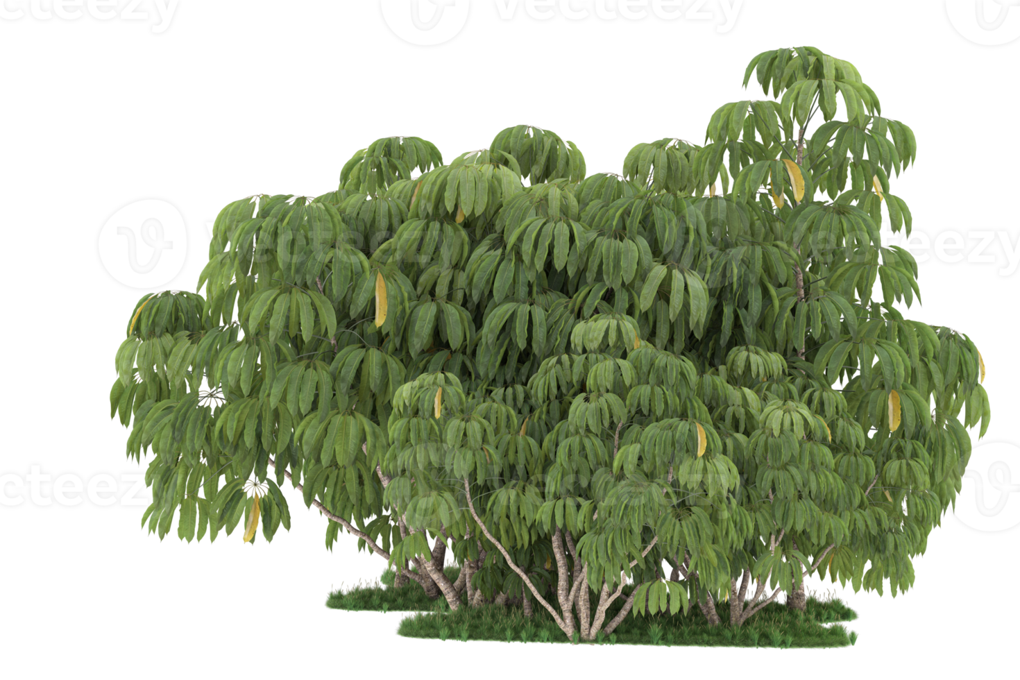 Realistic forest isolated on transparent background. 3d rendering - illustration png