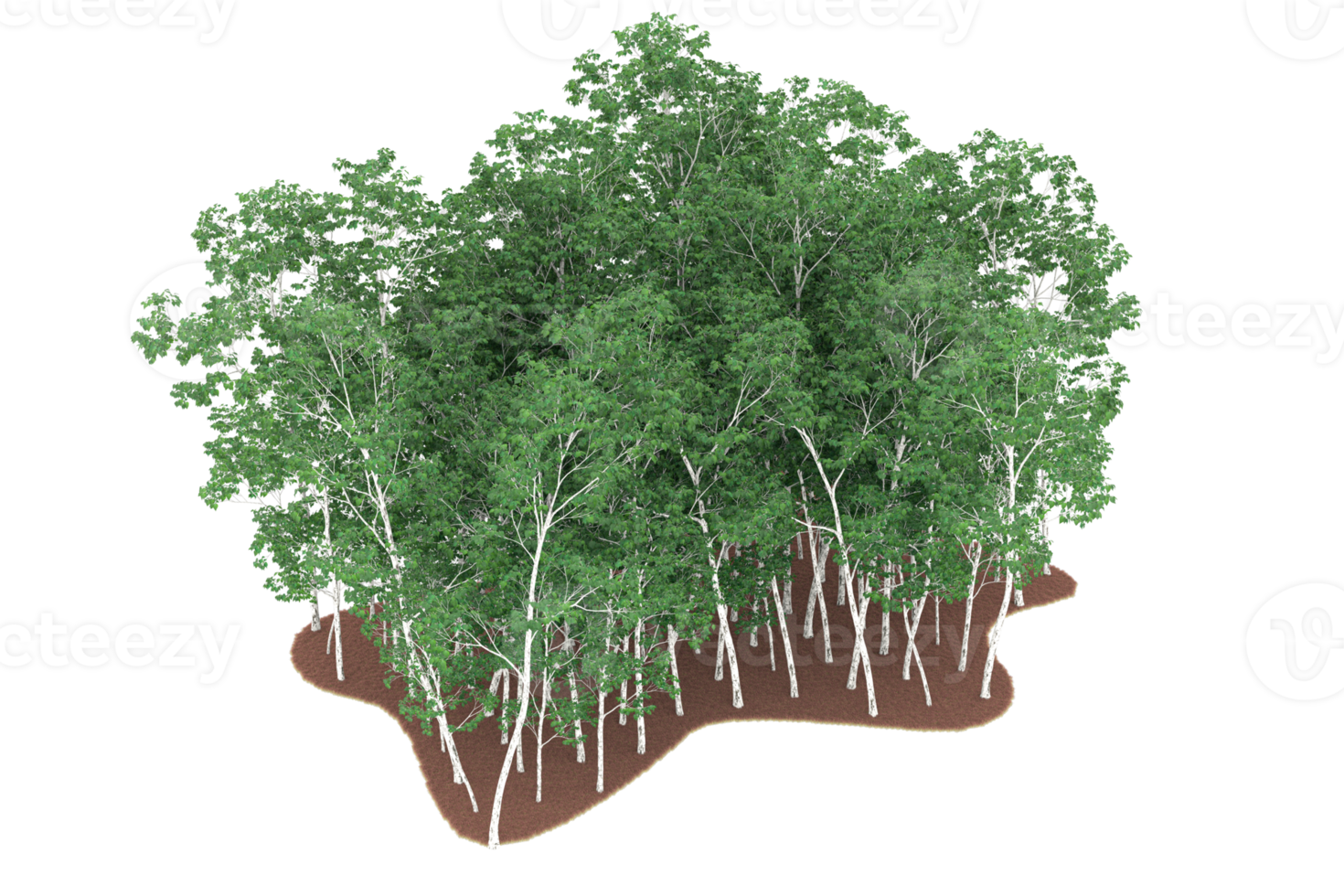 Realistic forest isolated on transparent background. 3d rendering - illustration png