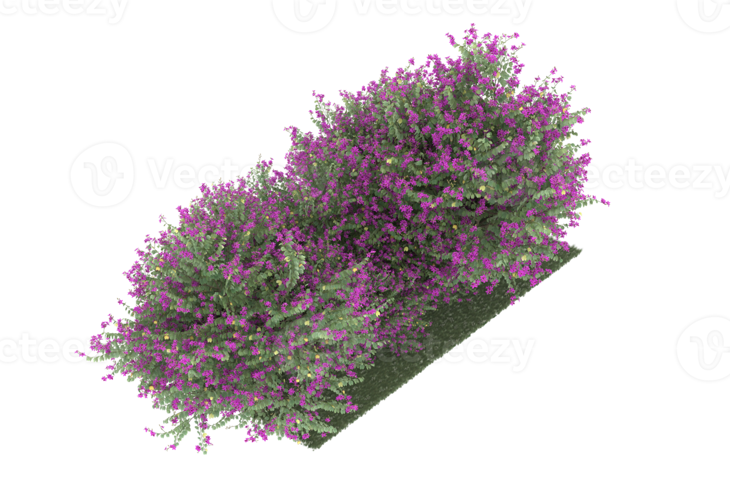 Realistic forest isolated on transparent background. 3d rendering - illustration png