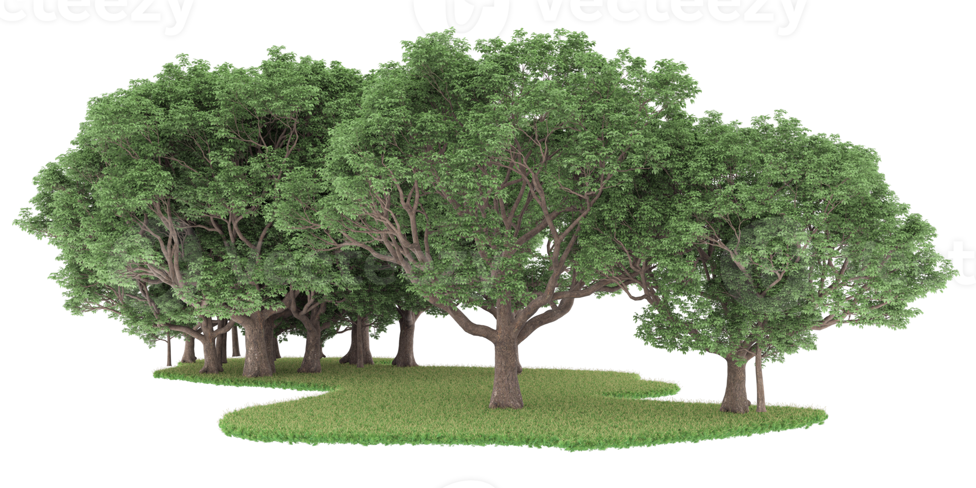 Realistic forest isolated on transparent background. 3d rendering - illustration png