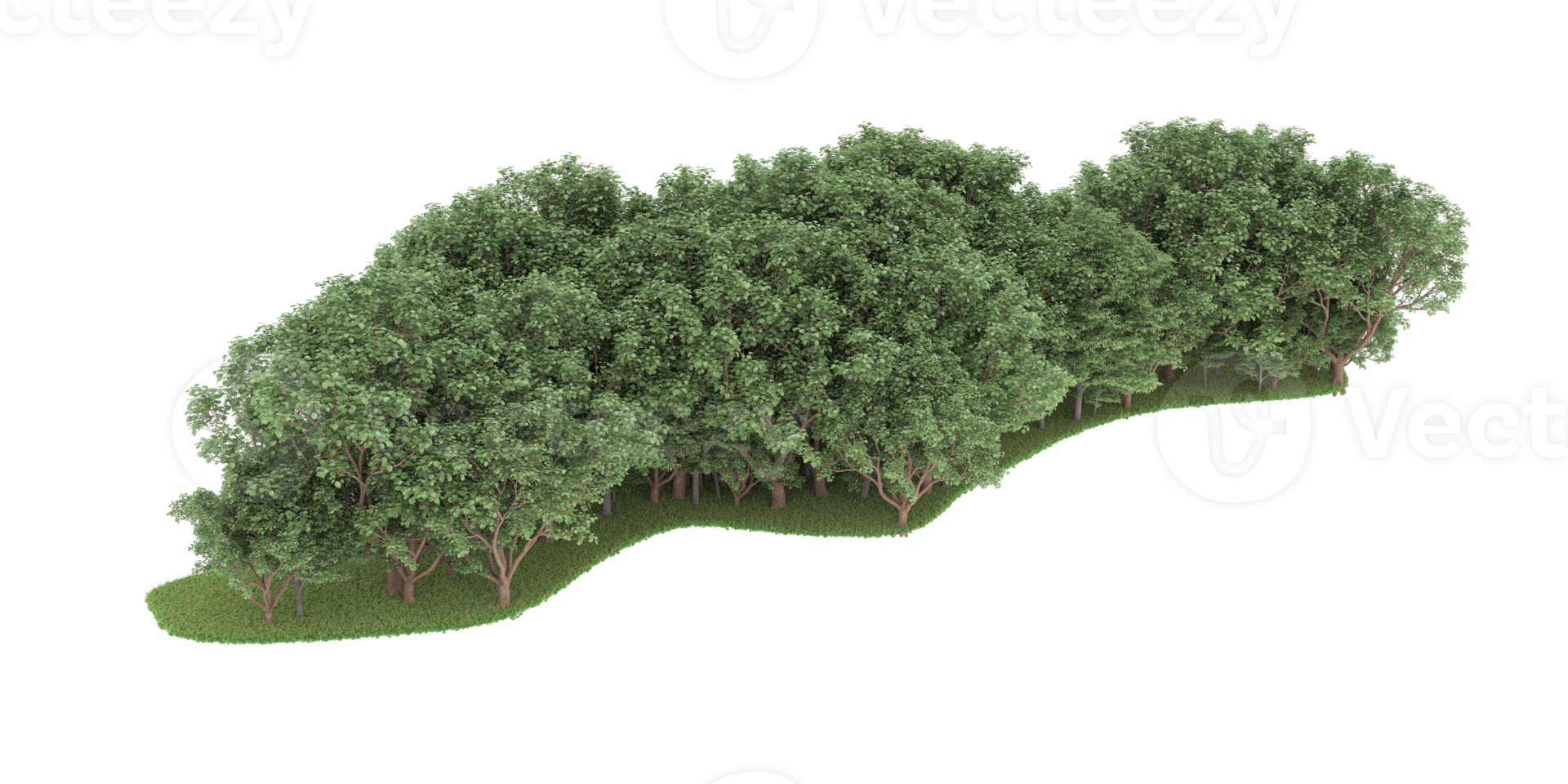 Realistic forest isolated on transparent background. 3d rendering - illustration png