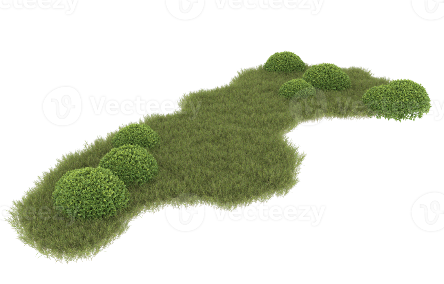 realistisch gebladerte geïsoleerd Aan transparant achtergrond. 3d renderen - illustratie png