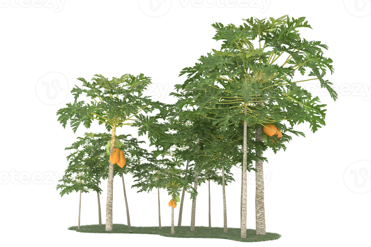 realistisk skog isolerat på transparent bakgrund. 3d tolkning - illustration png