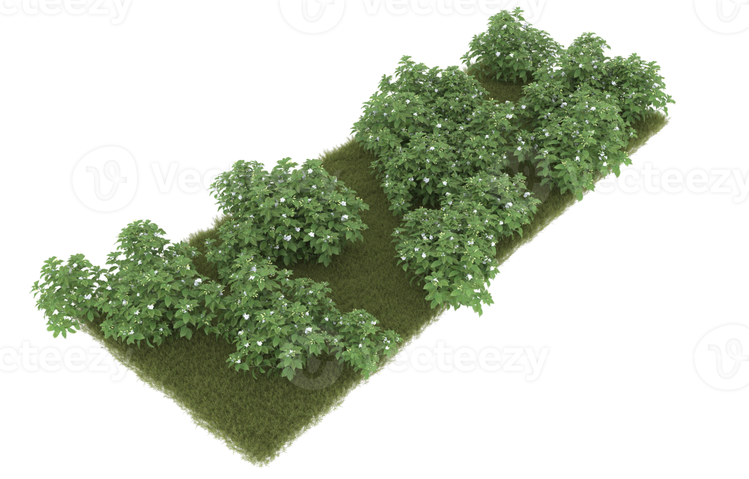 Realistic foliage isolated on transparent background. 3d rendering - illustration png
