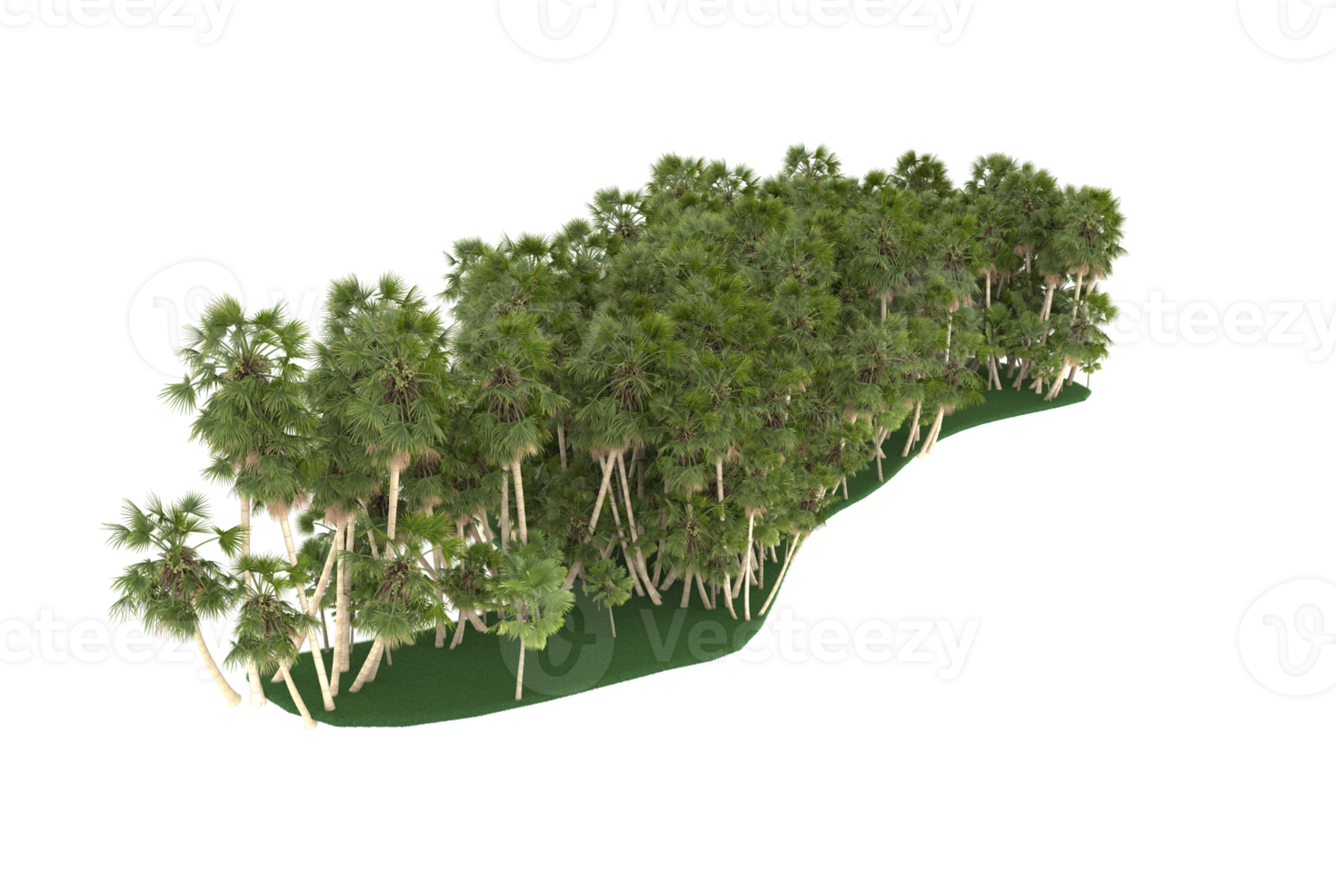 palm bomen geïsoleerd Aan transparant achtergrond. 3d renderen - illustratie png