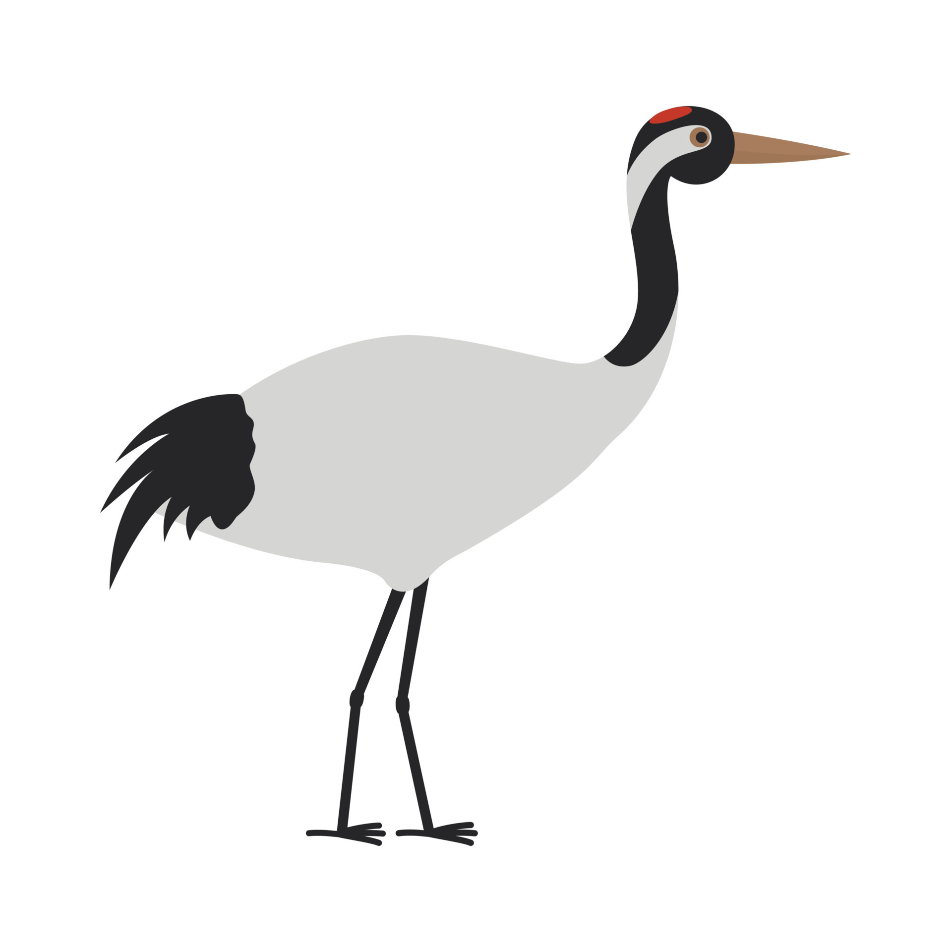 Japanese crane illustration 19540941 Vector Art at Vecteezy