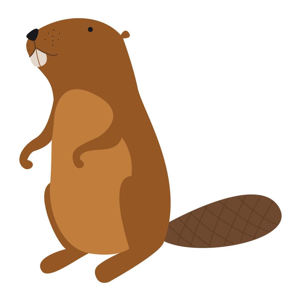 illustration beaver  illustration vector