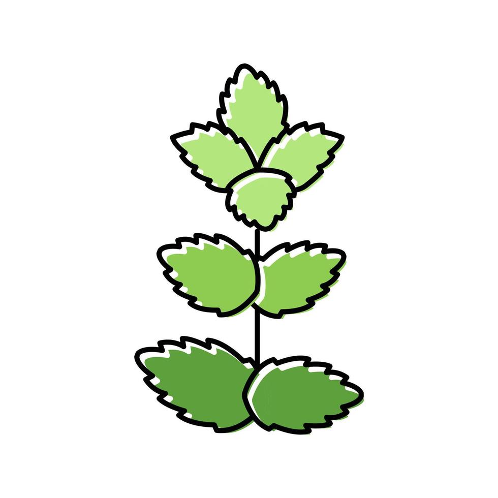 ilustración de vector de icono de color de hoja de menta