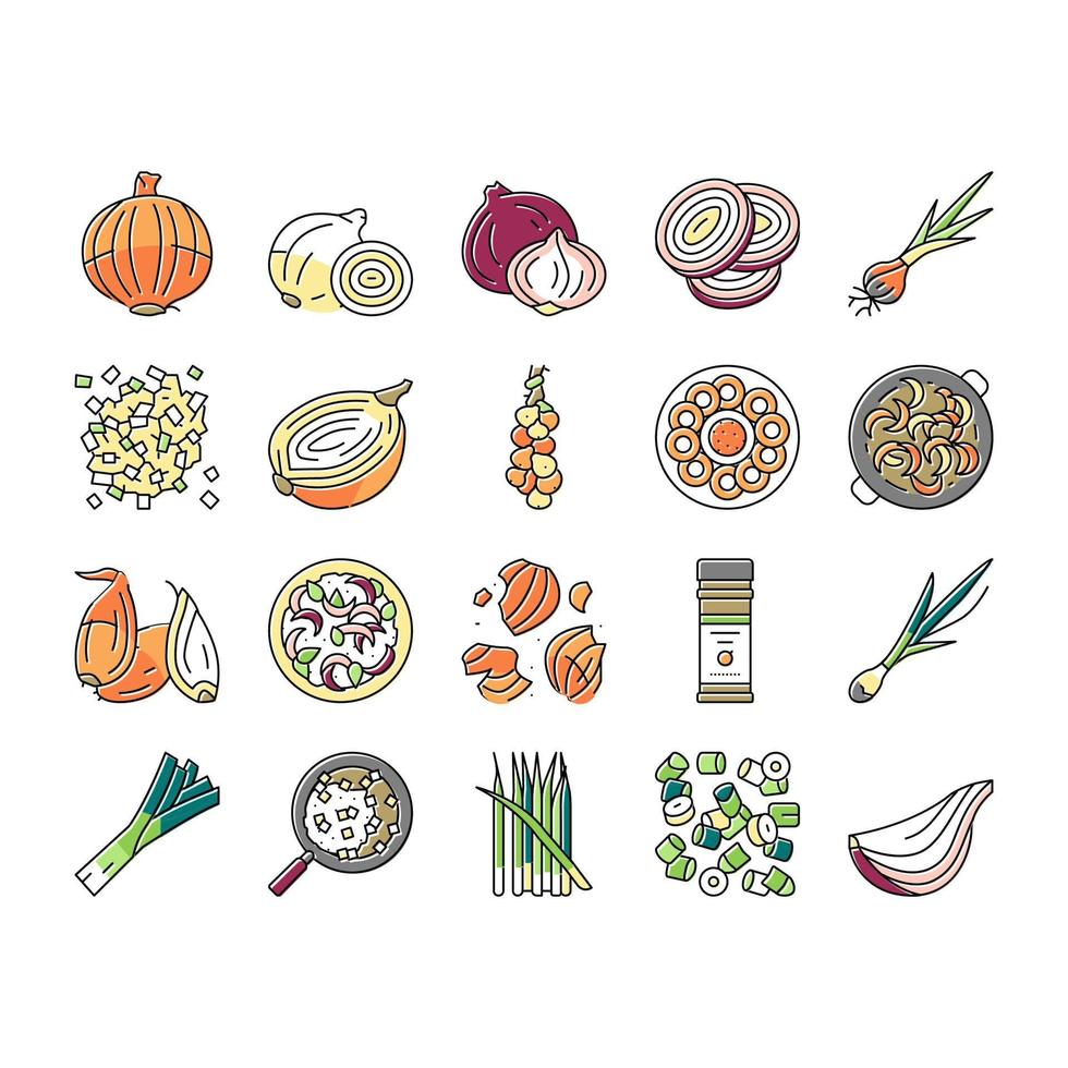 Onion Fresh Vitamin Vegetable Icons Set Vector