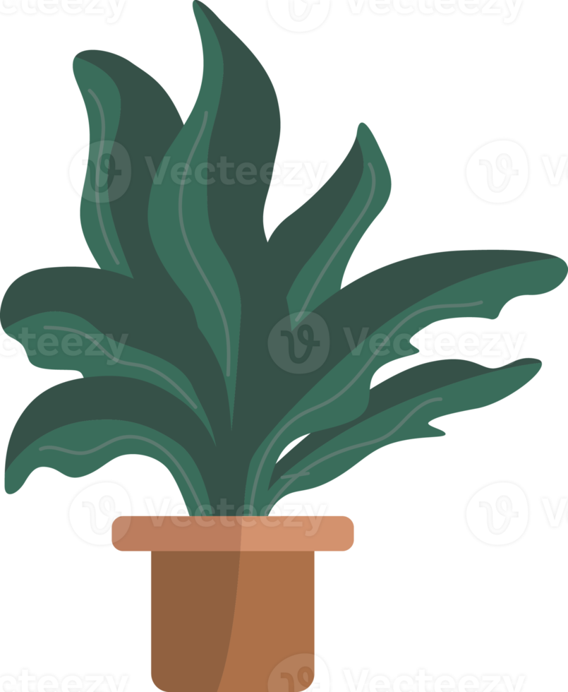 Green plants in pots. png