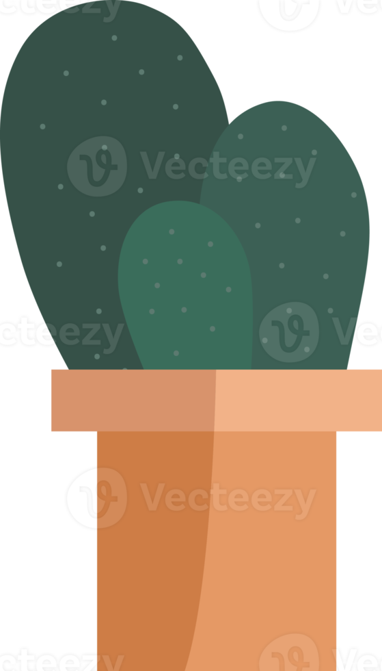 planta de cactus, icono de cactus. png