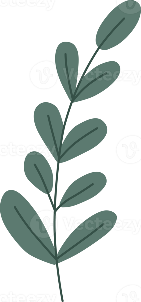 leaf element, minimal style. png