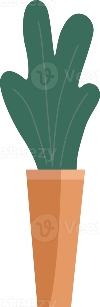 Plants in potted. png