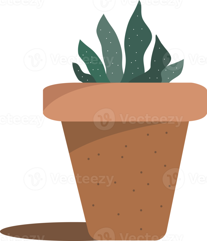 planta de cactus, icono de cactus. png