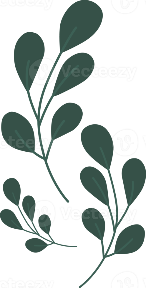 Green leaves, minimal style. png