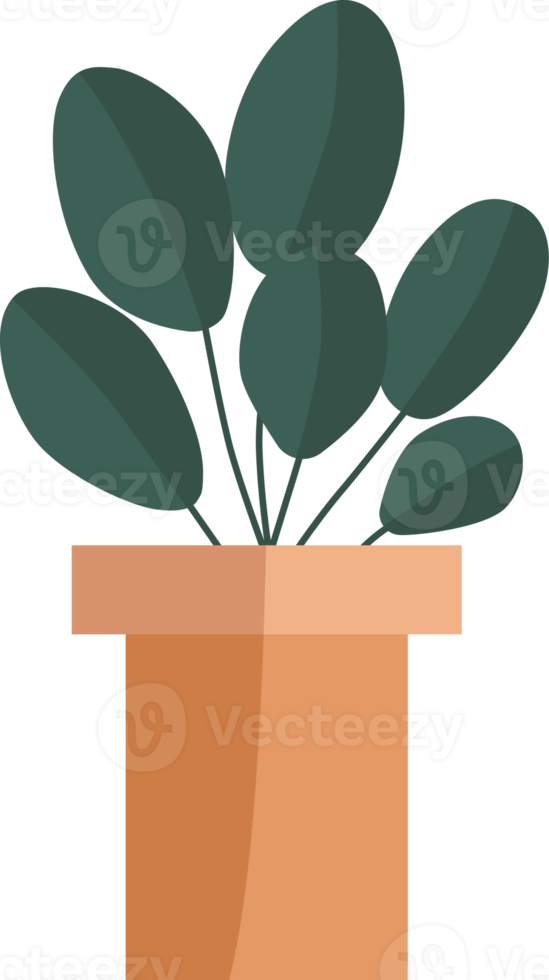 plantas em vasos de estilo minimalista. png