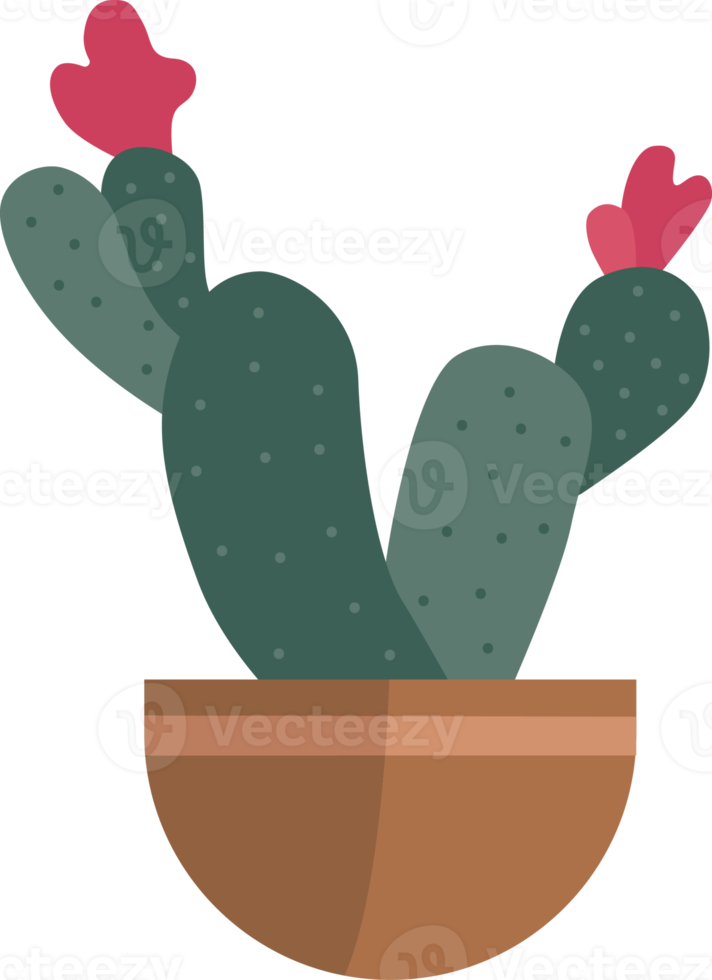 planta de cactus, icono de cactus. png