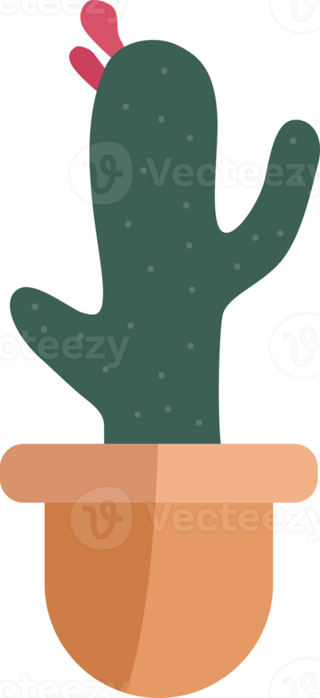 cactus plant in a minimalist style pot. png