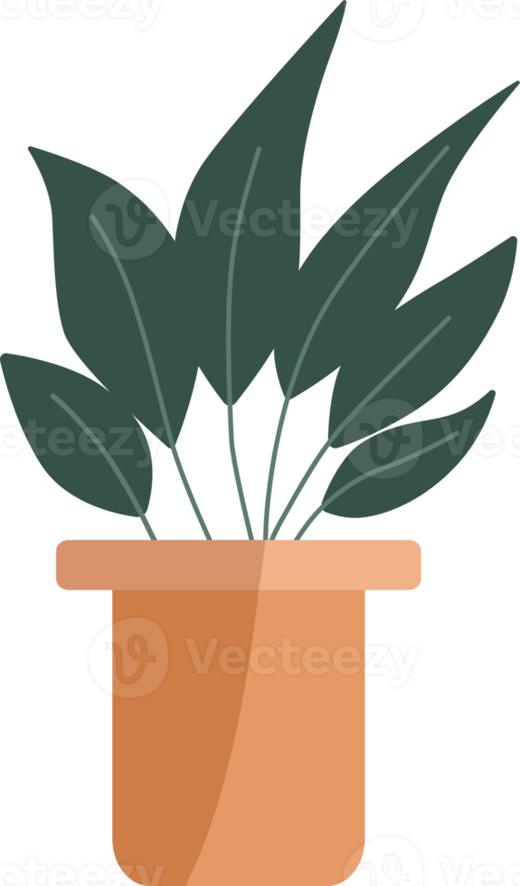 Small plants in pots. png