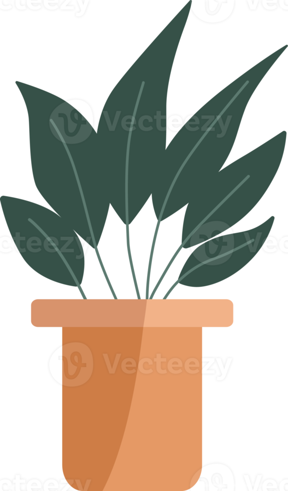 pequenas plantas em vasos. png