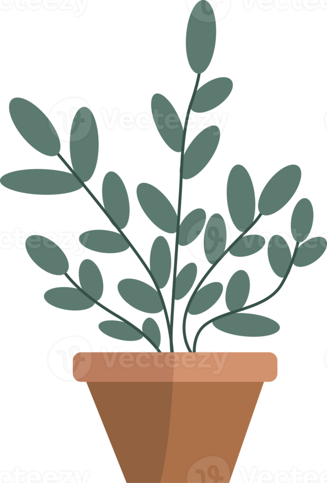 plantas en macetas de estilo minimalista. png