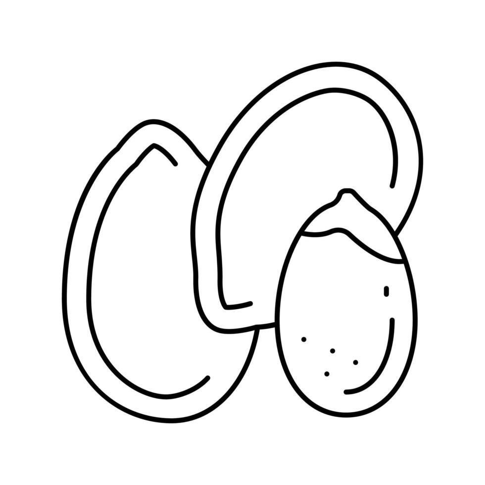 ilustración de vector de icono de línea de semilla de calabaza
