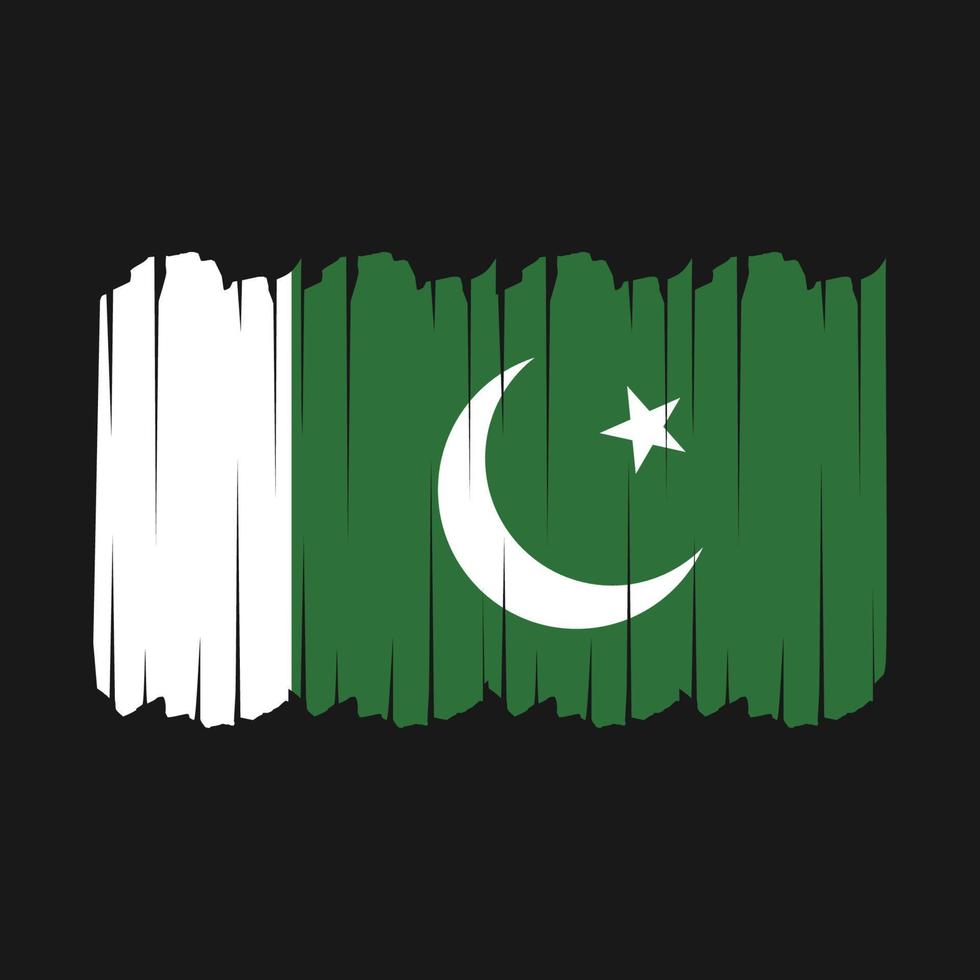 Pakistan Flag Brush Strokes vector