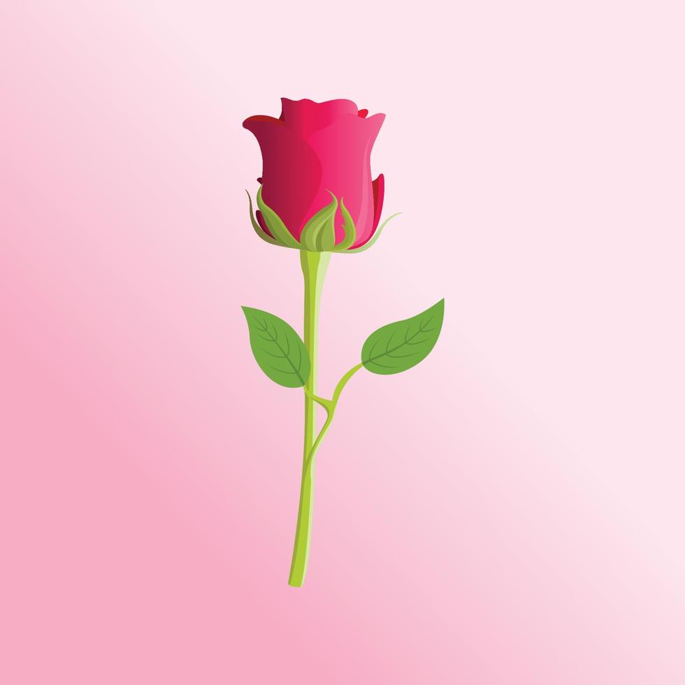 ilustración de vector premium de flor rosa