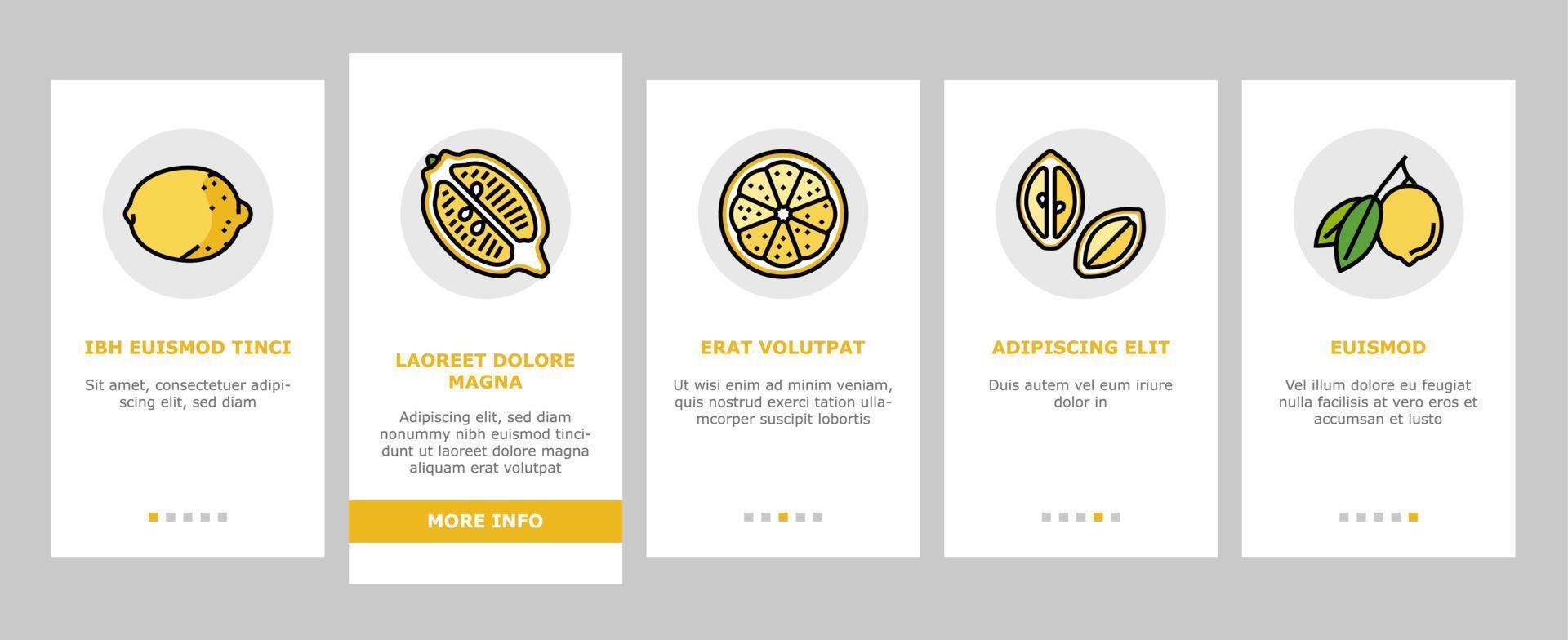 Lemon And Lime Vitamin Citrus onboarding icons set vector